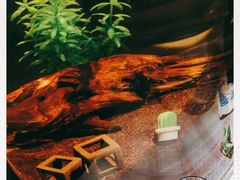 -天津津利华酒店