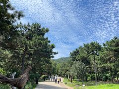 -北京西山国家森林公园