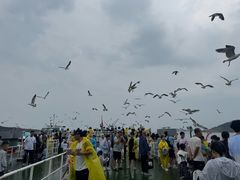 -海驴岛(荣成市)