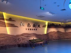 -宁夏博物馆