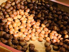 -阿男野栗王(金门路店)