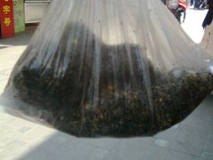 -叶氏麻糍(鼓浪屿店)