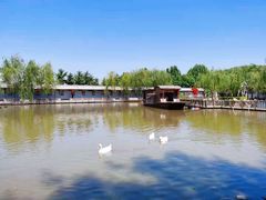 景点-河北村民俗体验园