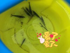-重庆彩云湖湿地公园