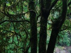 -西岭雪山大飞水景区