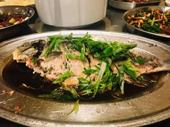 鲫鱼-农汤老店(顺联公园里店)