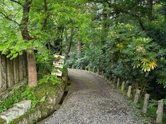 -成田山新胜寺