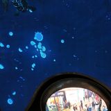 美食、商场,茶饮都有,最重要的是,徜徉在银河里