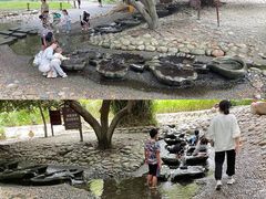 -成都市活水公园