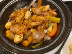 -彩丰楼中餐厅·早茶·点心·粤菜(海口华彩洲际酒店)