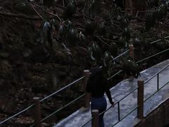 -藏龙百瀑风景区