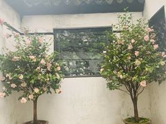 -豫园