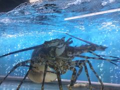 -钱塘府海鲜餐厅