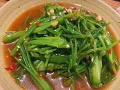 清炒水性杨花-紫滇源云南生态菜(丹凤街店)