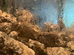 -珍宝轩海鲜火锅(碧湖大厦店)