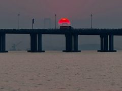 -宝安西湾红树林湿地公园