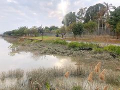 -福田红树林生态公园