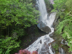 -大围山国家森林公园