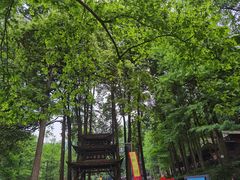 -青城山