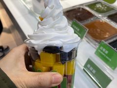 -Salud撒露欧洲冻酸奶(蓝色港湾店)