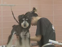 -FAELING PETS美天灵宠物(合生汇店)