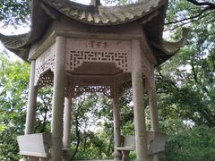-上海佘山国家森林公园东门地面停车场