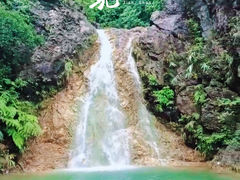 -南海湾森林生态园