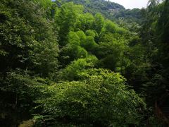 -藏龙百瀑风景区