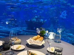 -亚特兰蒂斯•OSSIANO奥西亚诺海底餐厅