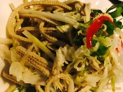 -九朝会昆曲·宴(望京店)