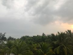 -海口万豪·大堂吧·望海吧.日落海景·下午茶·奶茶·咖啡·轻食·蛋糕·鸡尾酒·清吧