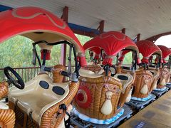 -霸王河欢乐世界