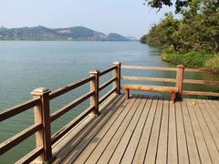 观景台-鹤之洲湿地公园