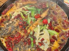 -老板恋上鱼(恒隆广场店)