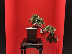 -佛山京华广场MALL