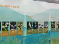 -陕西科学技术馆