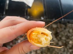 -小象钓虾·营地烧烤(洛溪店)