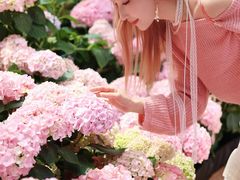 -上海长风大悦城