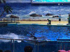 -福州罗源湾海洋世界旅游区