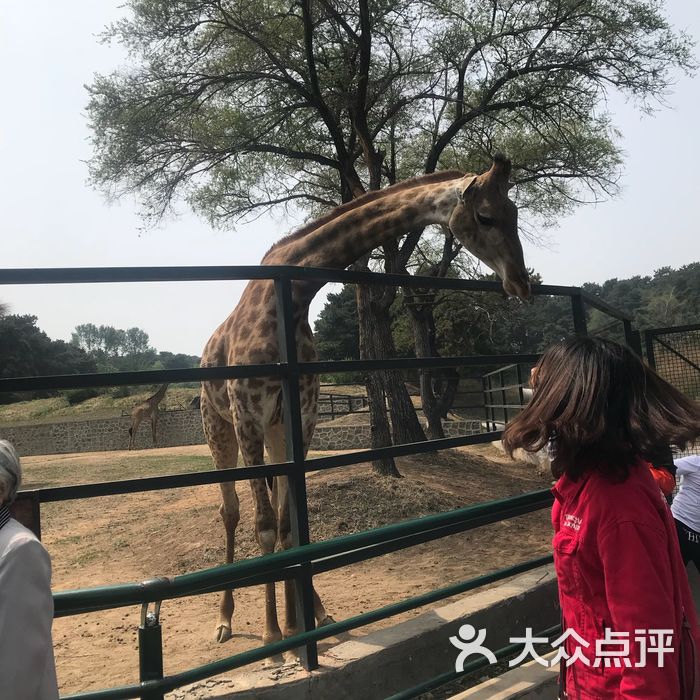 瀋陽森林動物園