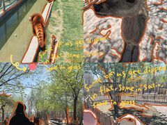 -水上乐园·欢乐世界