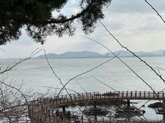 -养马岛旅游度假区