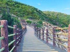 -广东惠东海龟国家级自然保护区