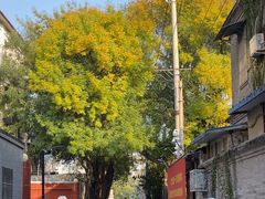 -北京市府学胡同小学