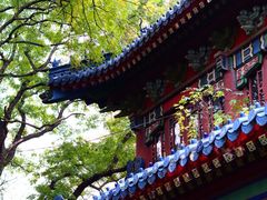-灵谷景区