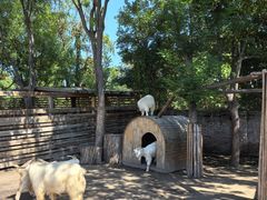 -圣露庄园·露营·烤肉·亲子