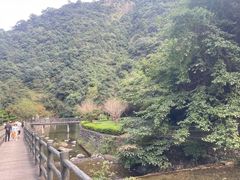-宁波五龙潭景区