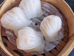-高第街56号餐厅(凯德mall新都心店)