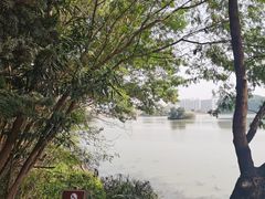 -海上田园