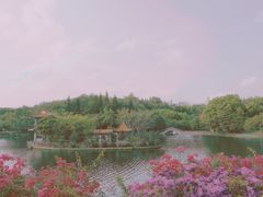 -深圳龙潭公园